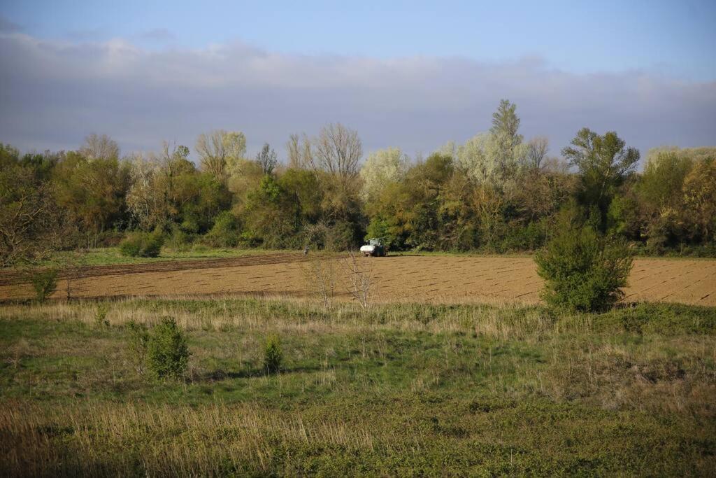 Domaine Villecarla Villedubert Екстериор снимка